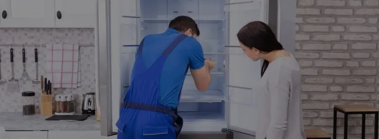 Ремонт холодильников Schaub Lorenz